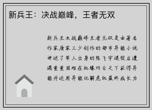 新兵王：决战巅峰，王者无双