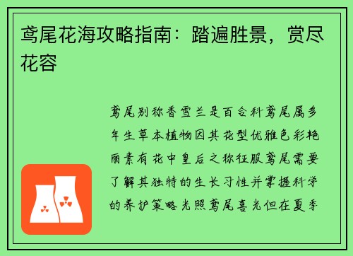 鸢尾花海攻略指南：踏遍胜景，赏尽花容