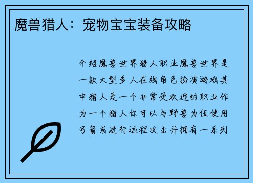 魔兽猎人：宠物宝宝装备攻略